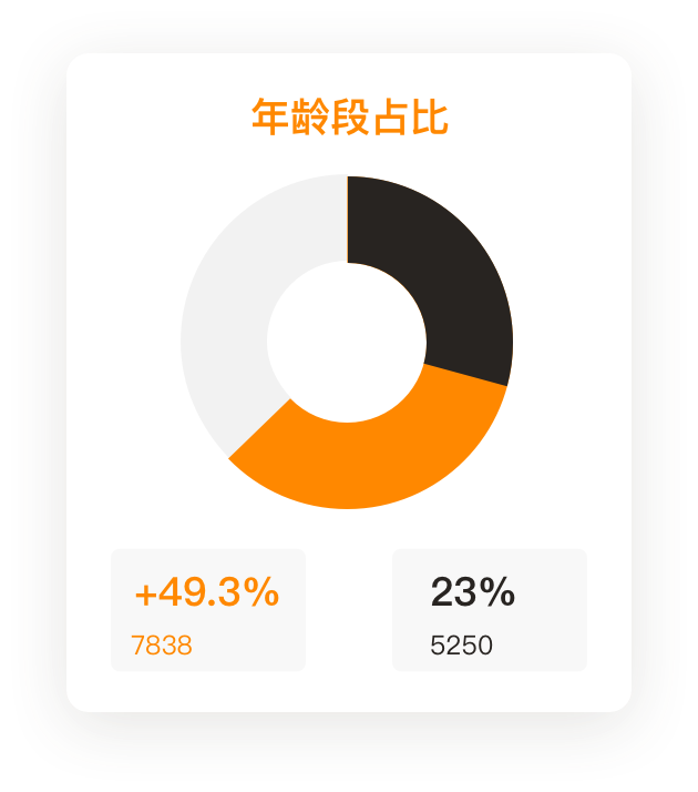 数据饼图 - 广告投放渠道占比分析